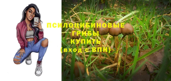spice Лиски