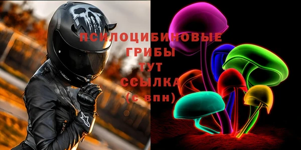 соль курить ск Кочубеевское