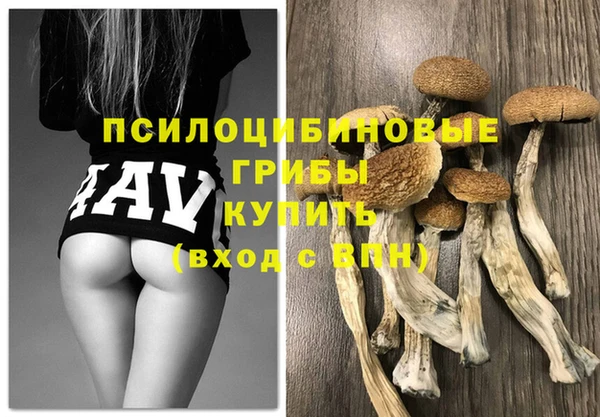 spice Лиски