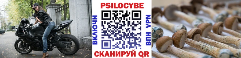mega зеркало  наркотики  Владимир  Галлюциногенные грибы Magic Shrooms 