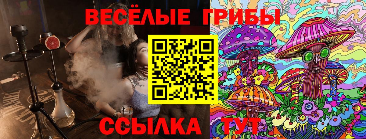 Владимир  Псилоцибиновые грибы ЛСД  Галлюциногенные грибы прущие грибы  Вход с VPN 