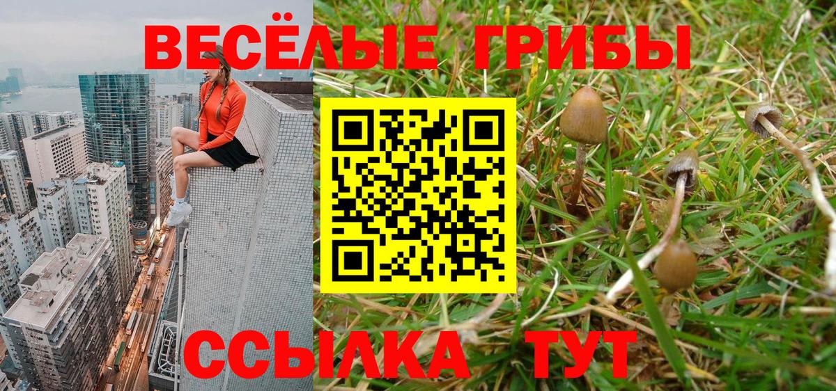 Псилоцибиновые грибы Magic Shrooms Владимир