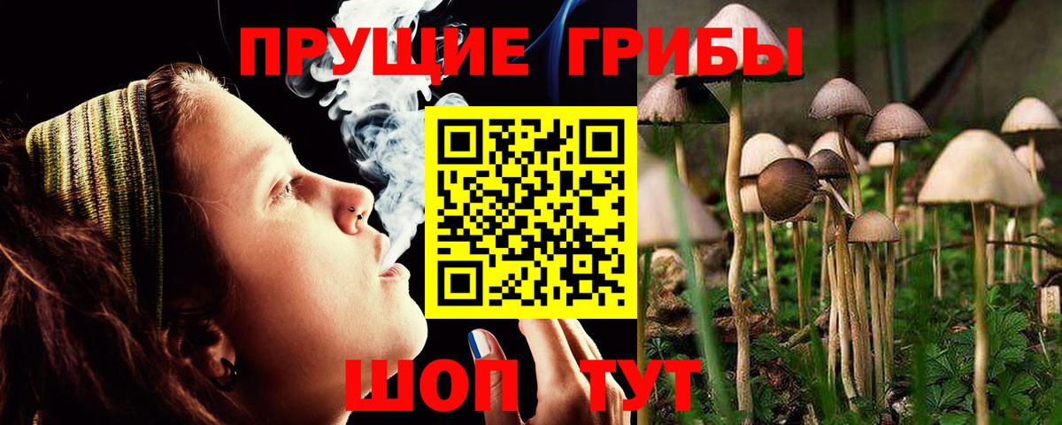 Галлюциногенные грибы мухоморы Владимир